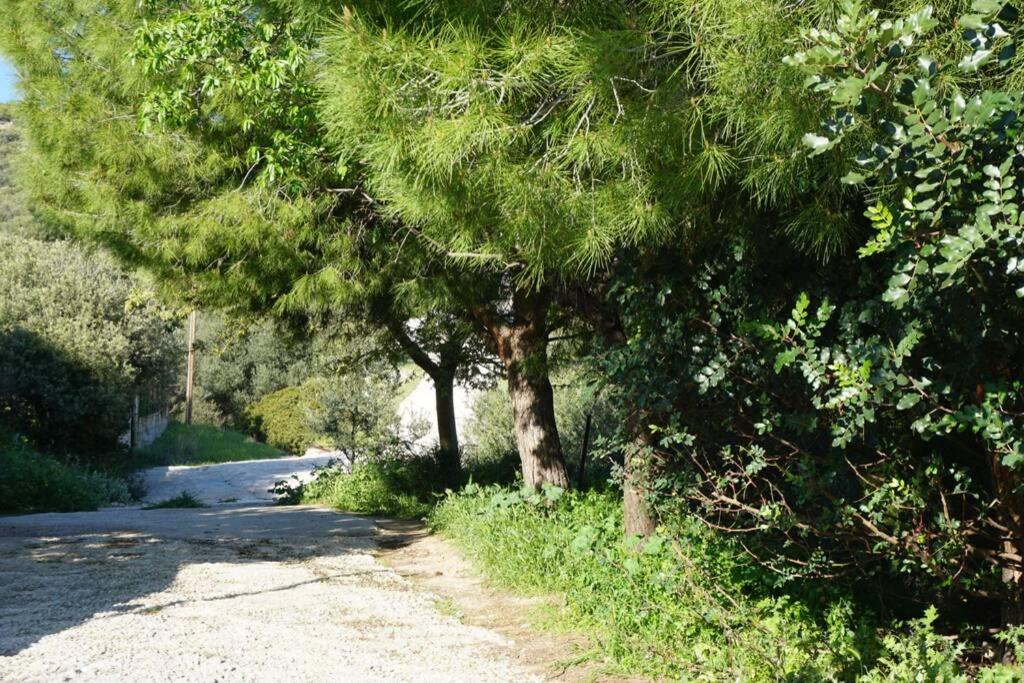 Cosy Guest House With Private Yard Saronida Екстериор снимка